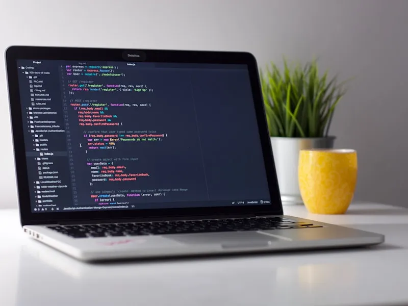 Managed Application Support for Healthcare Software