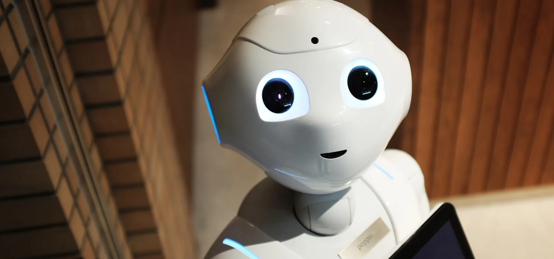 AI/ML Development overview